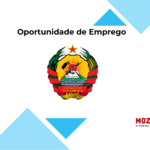 SERVIÇO DISTRITAL DE EDUCAÇÃO, JUVENTUDE E TECNOLOGIA