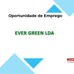 Ever Green lda