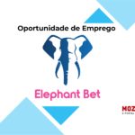 Elephant Bet