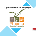 Pfuxela Exhibitions Gallery, Lda