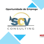 SCV Consulting