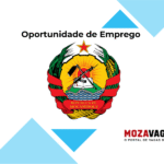 CONSELHO MUNICIPAL DA VILA DE CURO