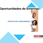 NIPPON KOEI MOZAMBIQUE