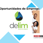 Delim – Limpeza & Manutenção