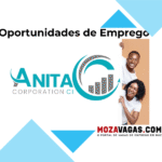 Anita Corporation