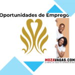 Lakefront Hotels Management