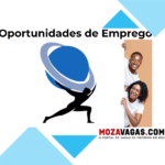 Robust International, LDA