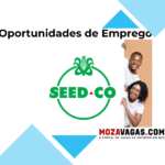 Seed Co International Mozambique Lda