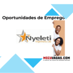 Nyeleti Engenharia, Lda