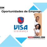 Visa Segurança