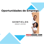 EASTERN RUBY MINING Limitada