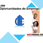 Consulting and Coaching Agency (CCA)