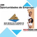 HAIYU VILANCULO MINING CO., LIMITADA,