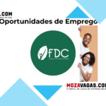 FDC - Fundação para o Desenvolvimento da Comunidade