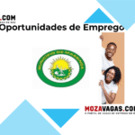 CONSELHO MUNICIPAL DA VILA DE MASSINGA