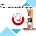 Globalvisa Protocolos, Lda