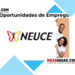 Neuce Indústria de Tintas de Moçambique